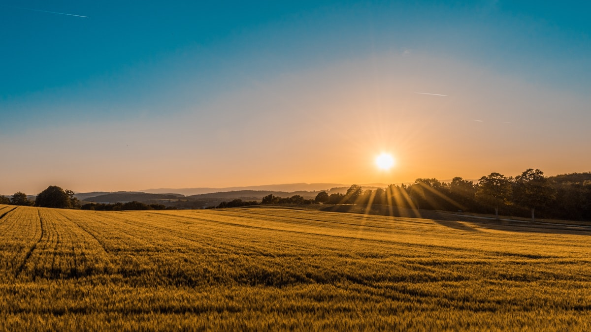 How To Buy Land in Ghana From the UK Without Ever Being Cheated